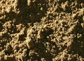 Lawn Mix – Top Dressing