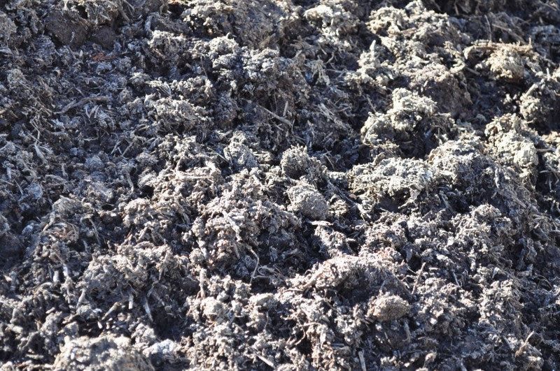Mushroom Compost