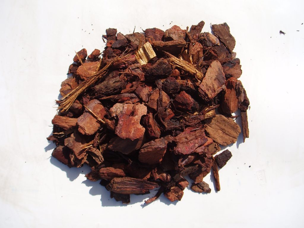 Pine Bark